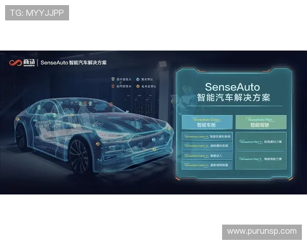 运动与健康相伴:提升体质的全方位运动方案及科学指导 运动与健康相伴:提升体质的全方位运动方案及科学指导