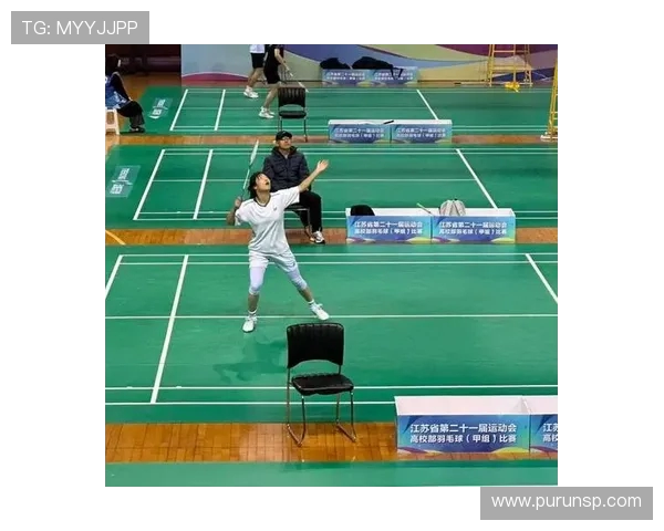 南京羽毛球队奋勇拼搏的辉煌历程与锦标赛背后的故事揭秘