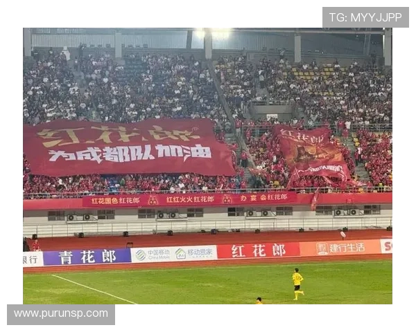 成都篮球队实力引发热议球迷观点分歧成焦点