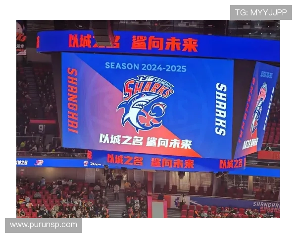 上海与深圳CBA比赛直播信息及观看方式详解